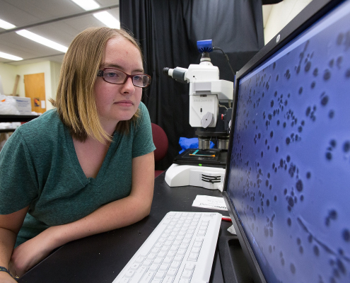 346-Marcus Roper Lab